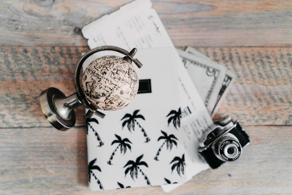 Benefits of Professional Travel Guidance